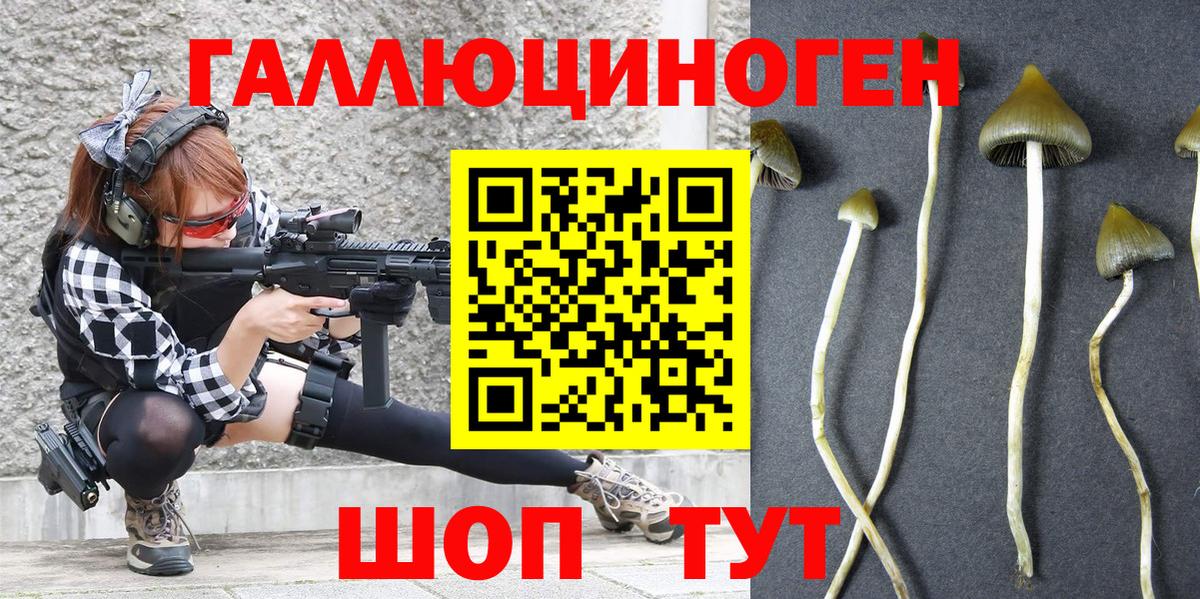 Галлюциногенные грибы Psilocybine cubensis  где продают наркотики  Джанкой  Вход с VPN 